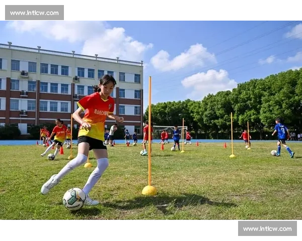 苏超模式引燃全国:多省市城市联赛取经本土化实践 苏超模式引燃全国:多省市城市联赛取经本土化实践